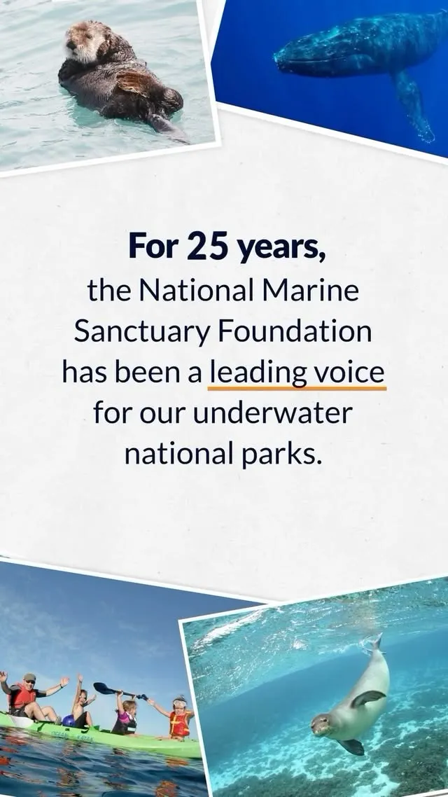 25 years of the Foundation — celebrate with a $25 gift