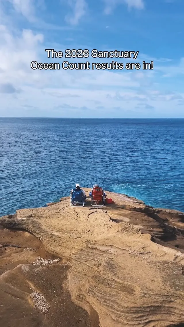 30 years of Sanctuary Ocean Count · Hawaiian Islands Humpback